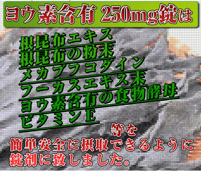 ���[�h�ܗL�H�i